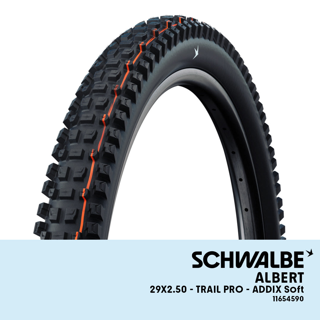 SCHWALBE Albert - 29x2.50 Trail Pro Soft TLR - 11654590