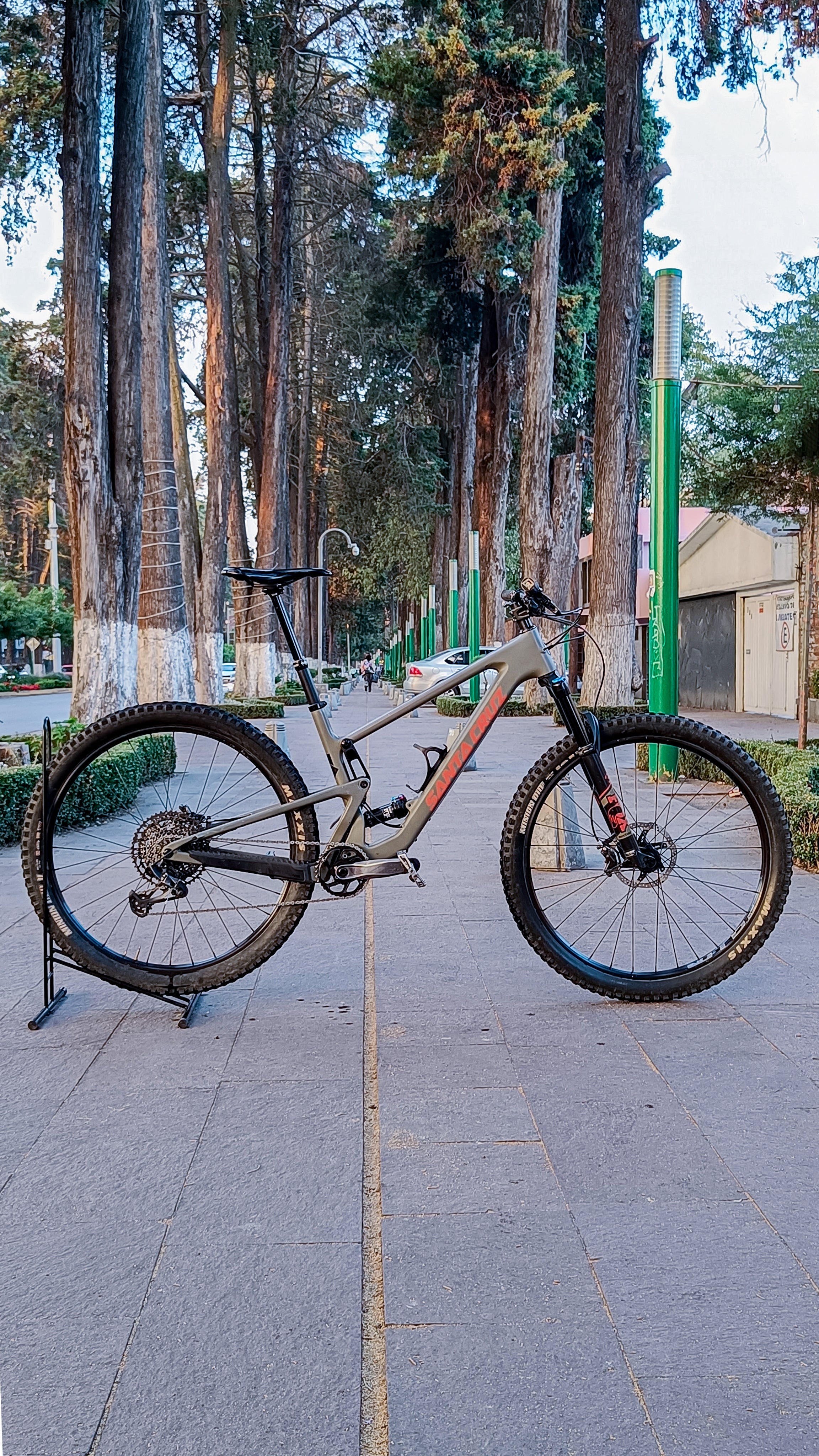 SANTA CRUZ Tallboy 4