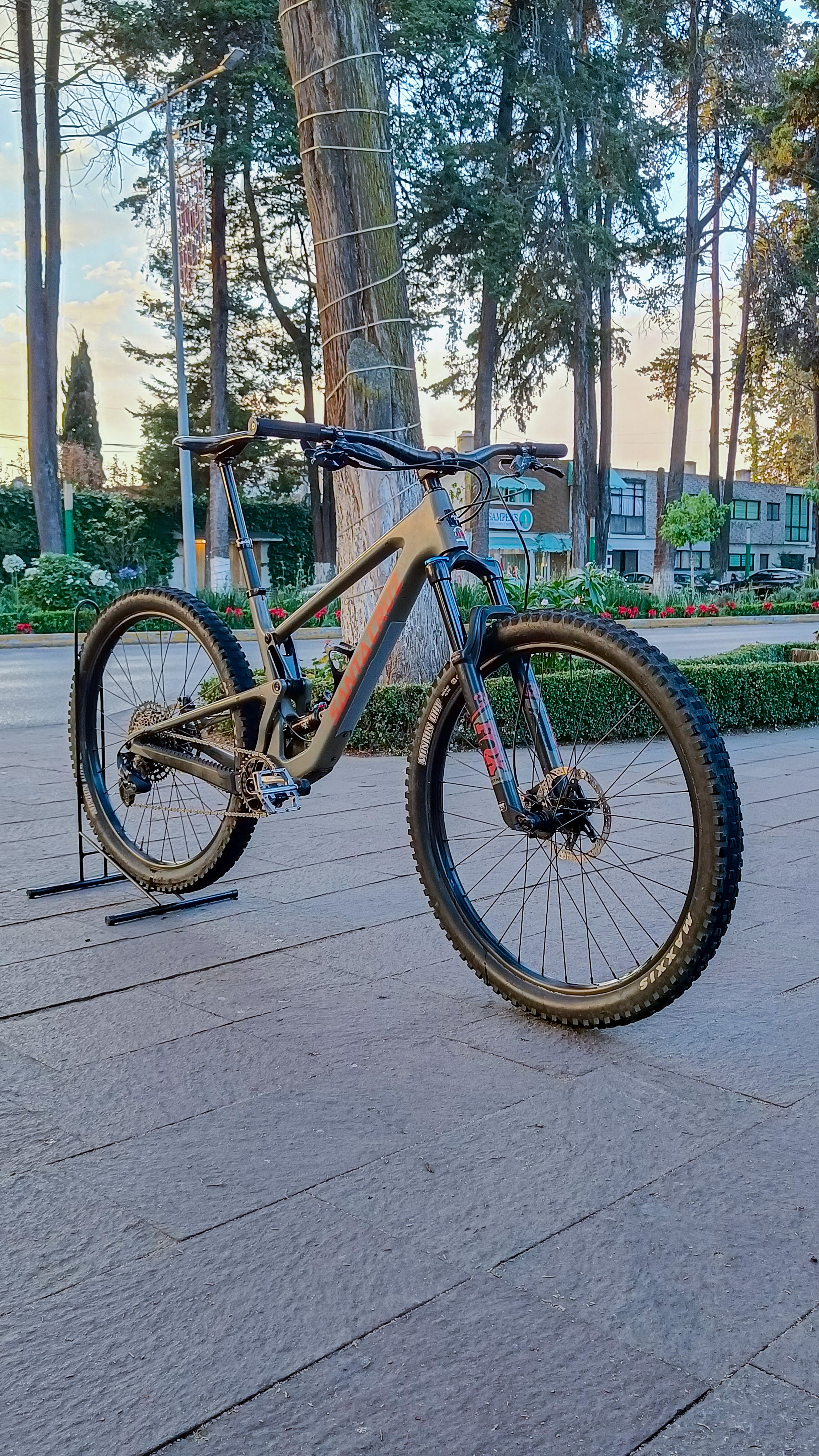 SANTA CRUZ Tallboy 4