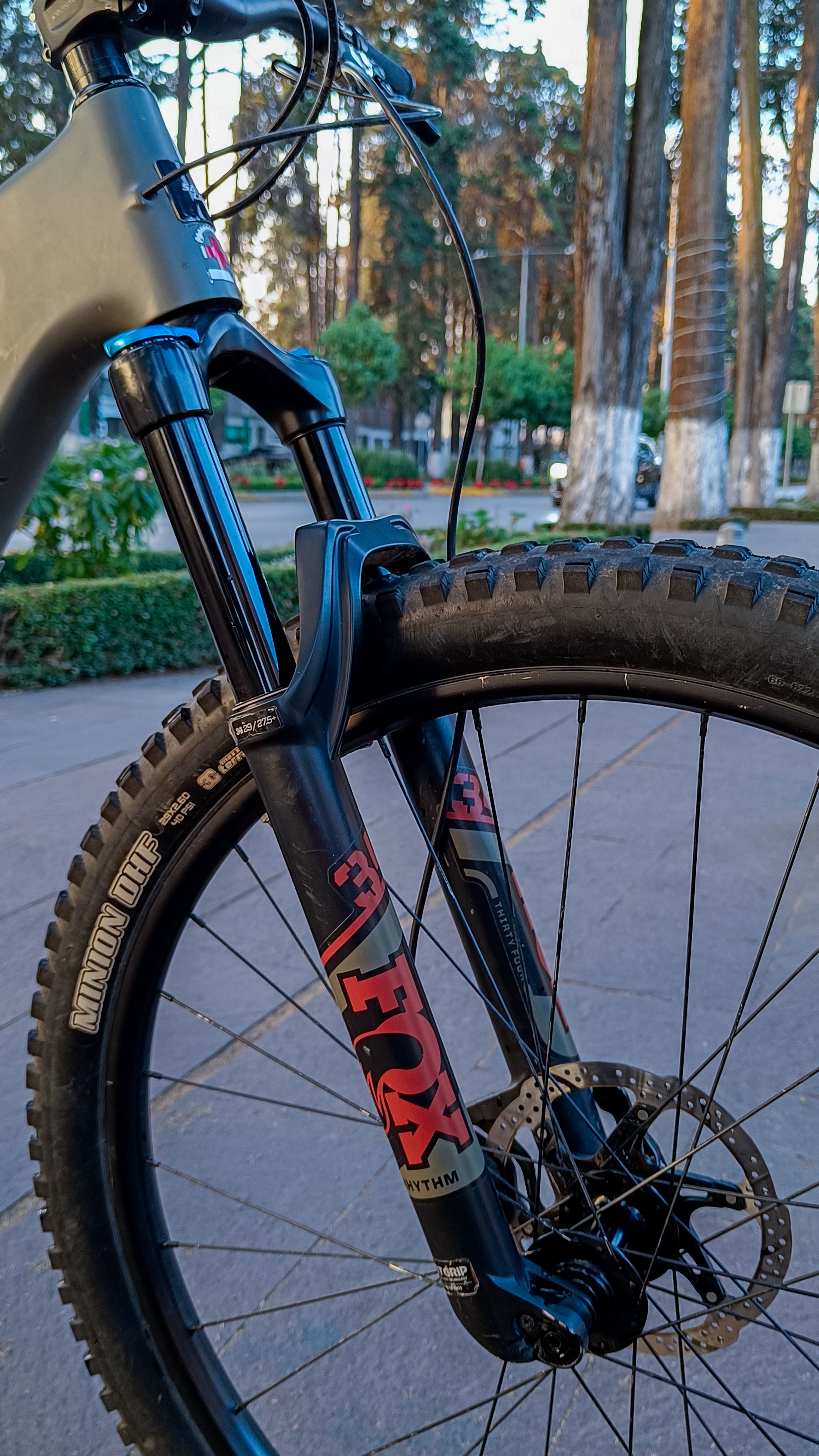 SANTA CRUZ Tallboy 4