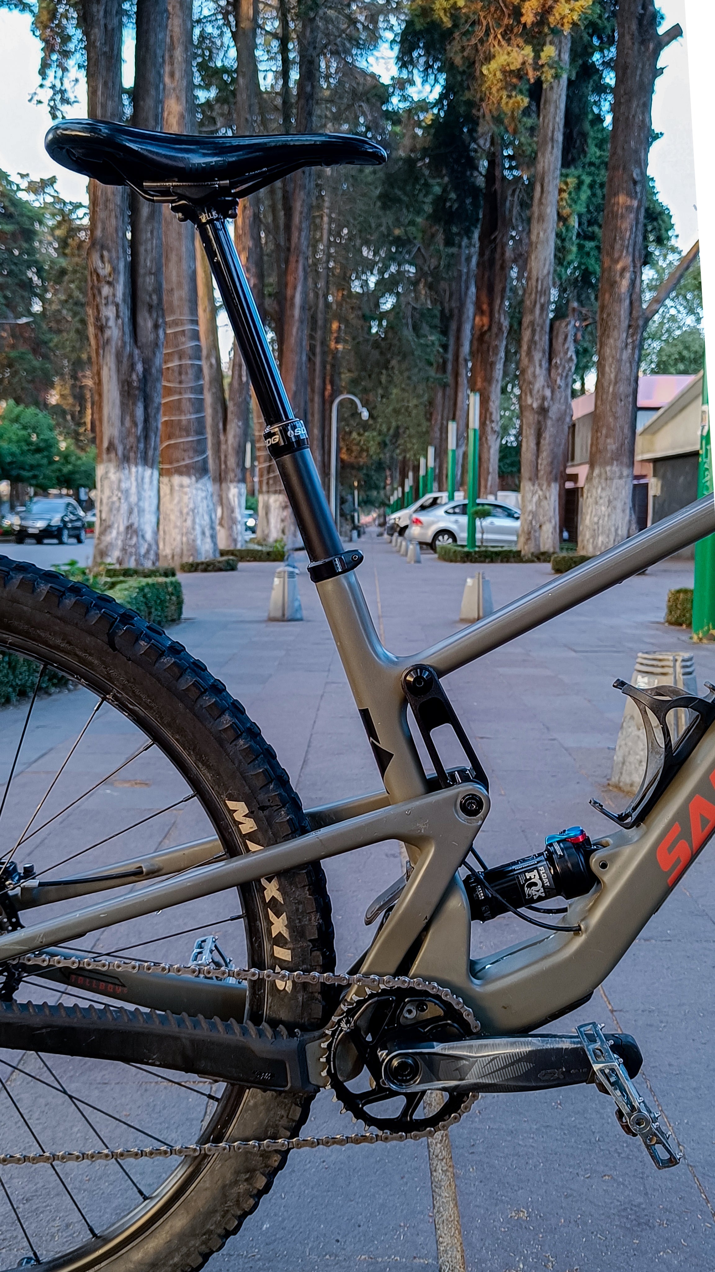 SANTA CRUZ Tallboy 4