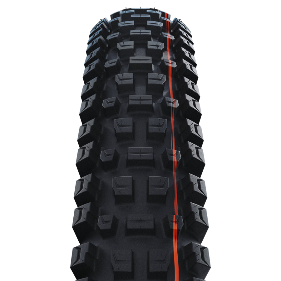 SCHWALBE Albert - 29x2.50 Trail Pro Soft TLR - 11654590