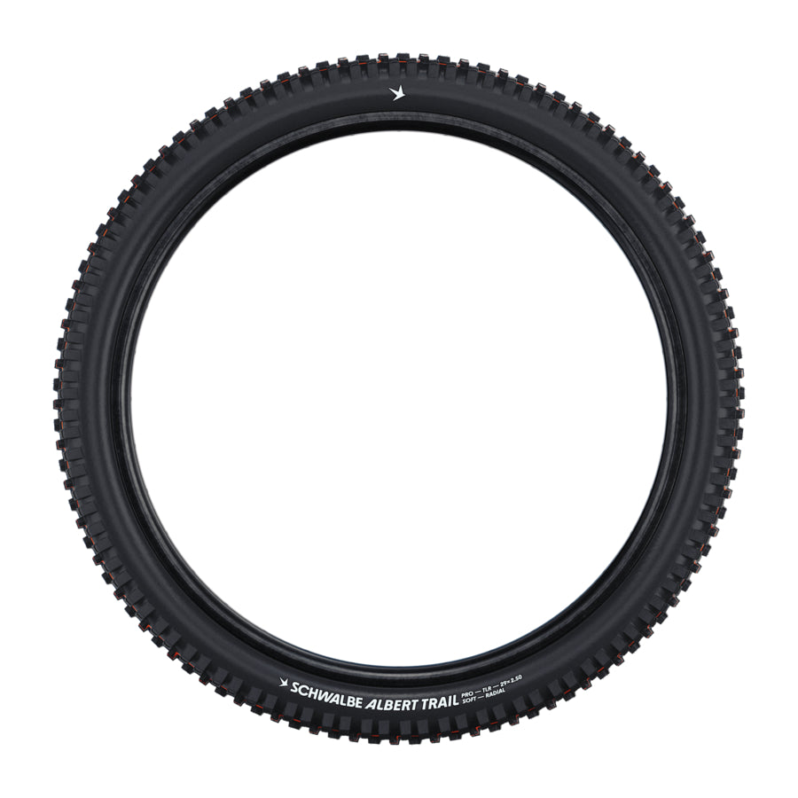 SCHWALBE Albert - 29x2.50 Trail Pro Soft TLR - 11654590